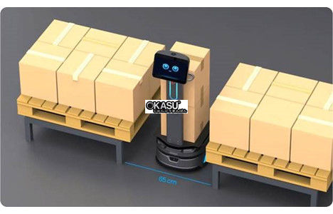 robot hau can orionstar hinh 9