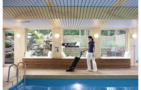 may cha san karcher br 30/4 c anniversary edition hinh 2