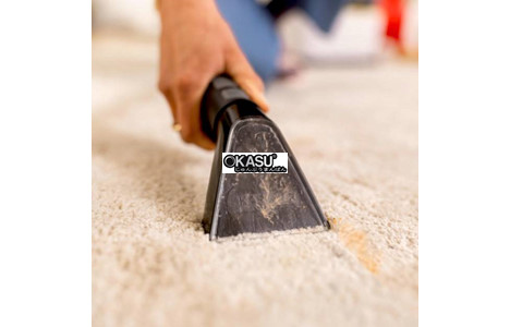 may giat tham gia dung karcher se 2 spot hinh 4