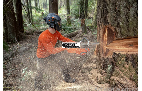 cua xich husqvarna 585 hinh 2