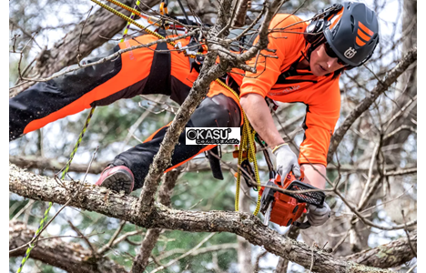 cua xich husqvarna t525 hinh 2
