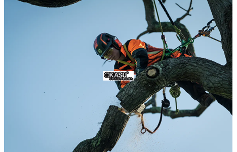cua xich husqvarna t540i xp® hinh 2