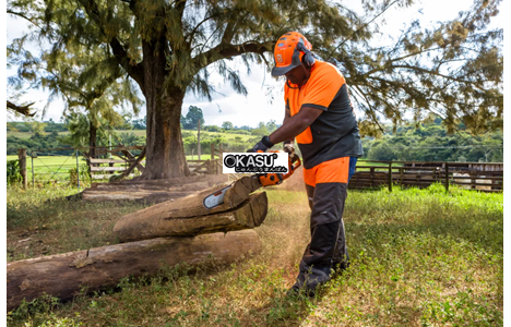 may cua xich husqvarna 353 hinh 2