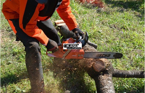 may cua xich echo - cs501sx hinh 2