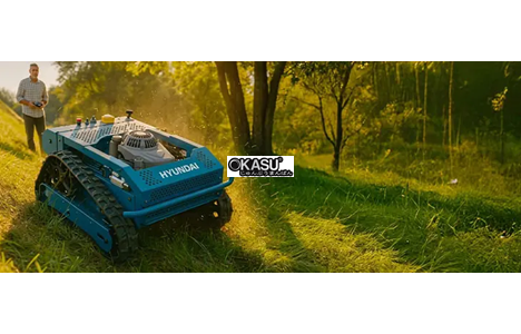 may cat co robot dieu khien tu xa hyundai raptor 65492 hinh 2