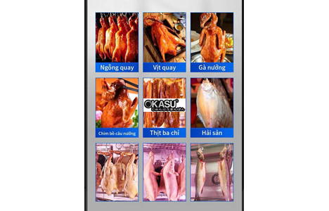 tu say vit ap suat am 1 canh chineng cn-lpg-8003-1.385kw-qjfy-dm (phien ban flagship) hinh 2
