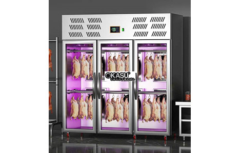 tu say vit ap suat am 3 canh chineng cn-lpg-8003-zzfy-1860fa (phien ban cao cap) hinh 2