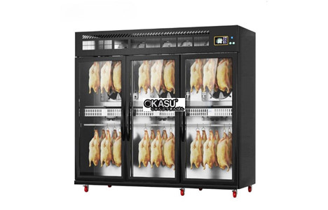 tu say vit ap suat am 3 canh chineng cn-lpg-8003-2.905kw-qjfy-tm (phien ban flagship) hinh 2