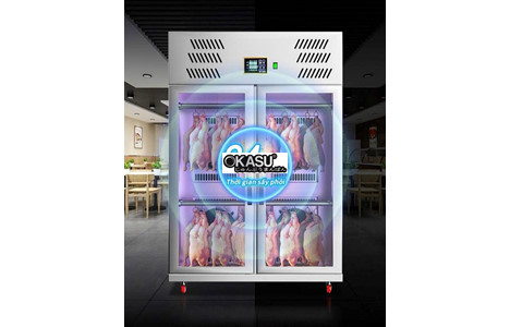 tu say vit ap suat am 2 canh chineng cn-lpg-8003-zzfy-1260fa (phien ban cao cap) hinh 6