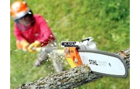 may cua canh stihl - ht75 (34mm - 25.4cc) (3/8) hinh 3