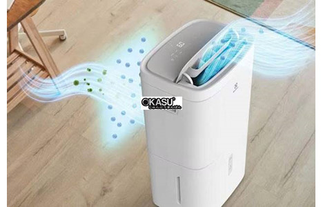 may hut am electrolux edh10trbw1 cong suat 20 lit/ngay hinh 4