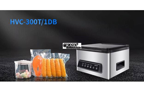 may hut chan khong buong hualian hvc-300t/1db dung cho thit va thuc pham hinh 2