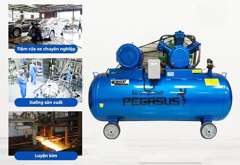 may nen khi pegasus tm-w-1.0/8-500l hinh 2