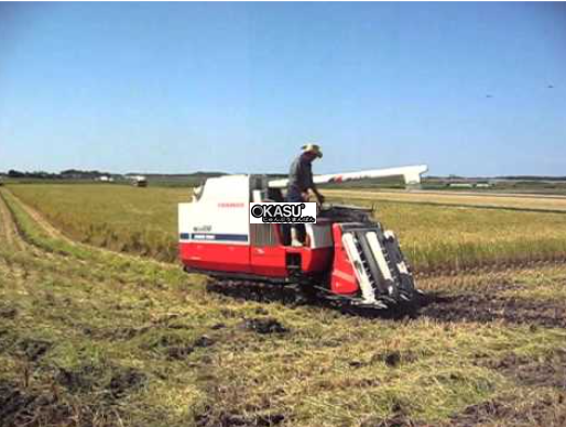 may gat dap lien hop yanmar ca485 hinh 0