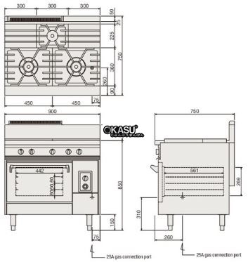 bep tu lien lo fujimark fgrns097521 hinh 1