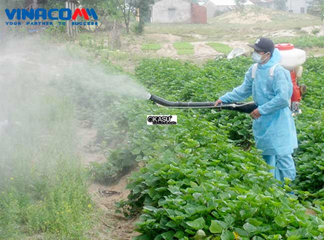 binh xot xa phan dragon 3wf-3c-26 hinh 1