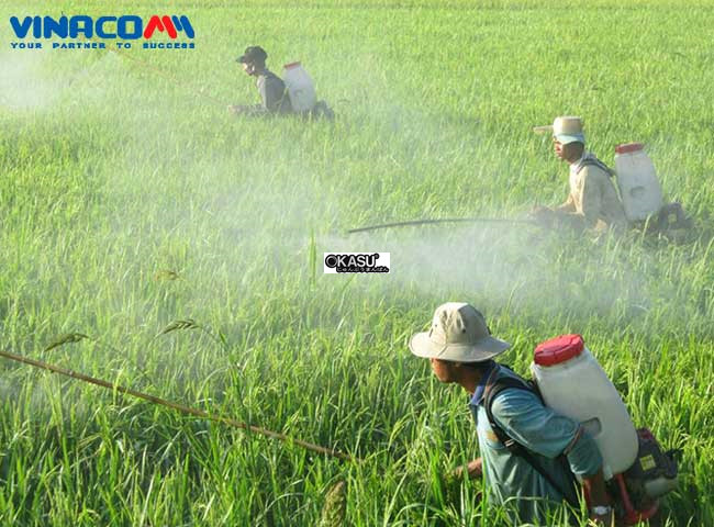 binh xit 4 thi pona gx25 hinh 1