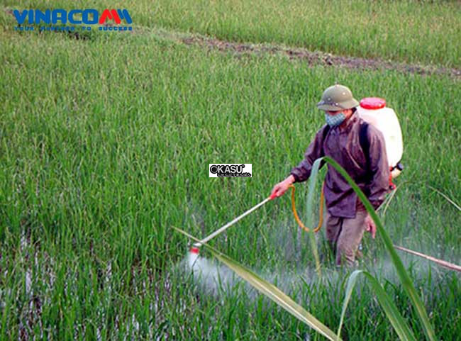 binh xit pona gx35 hinh 1