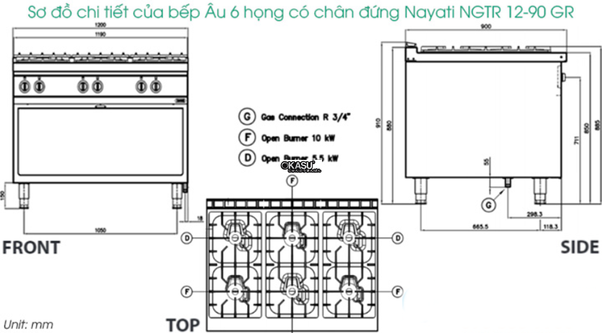 bep au 6 hong co chan dung nayati ngtr 12-90 gr hinh 1