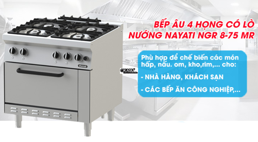 bep au 4 hong co lo nuong nayati ngr 8-75 me hinh 0