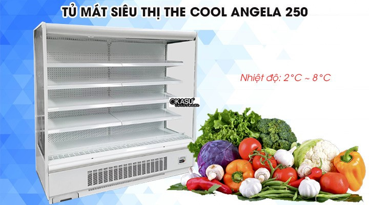 tu mat sieu thi dang ho the cool angela 250 hinh 0