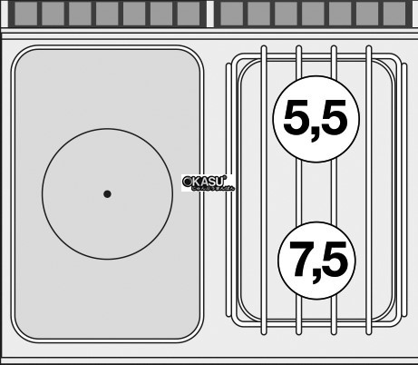 bep au dung gas lotus tp2t-78gp hinh 0