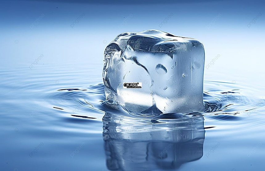 may lam da 600kg/24h lotus ks600a hinh 1