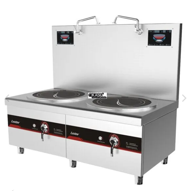 bep dien tu doi ham soup lestov lt-p420ii-e118 hinh 0