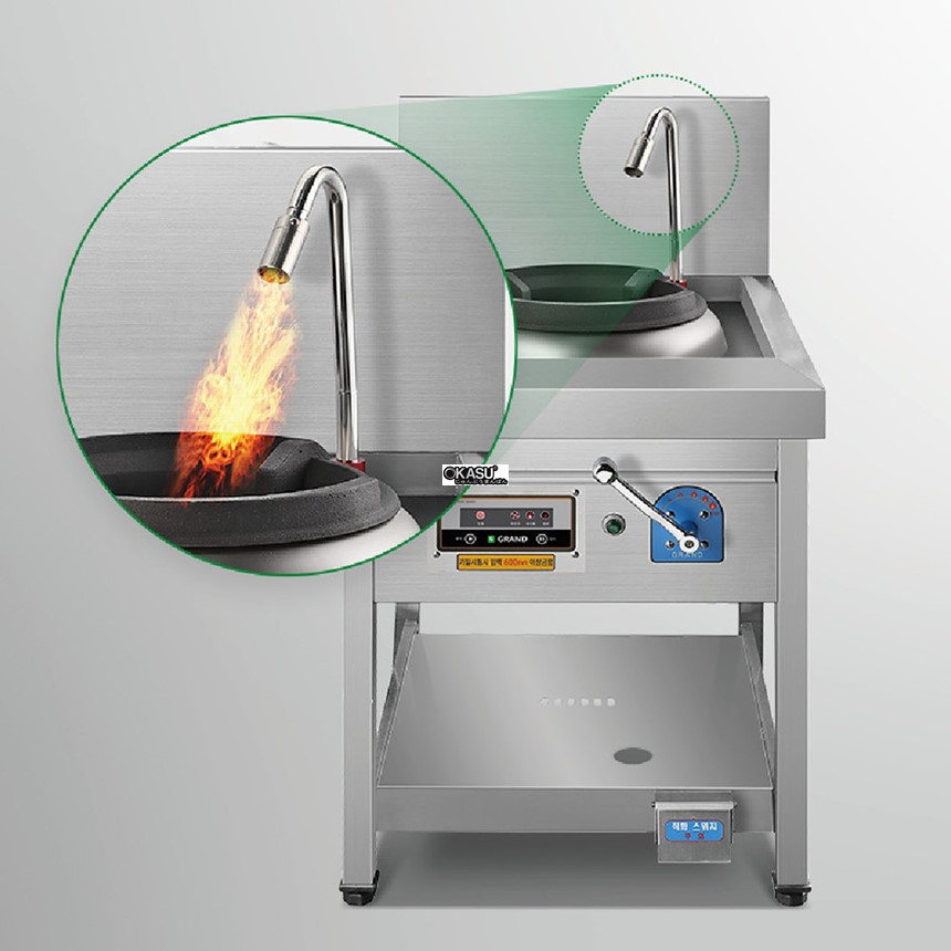 bep au 1 hong dung gas grand woosung gws-d650p hinh 1