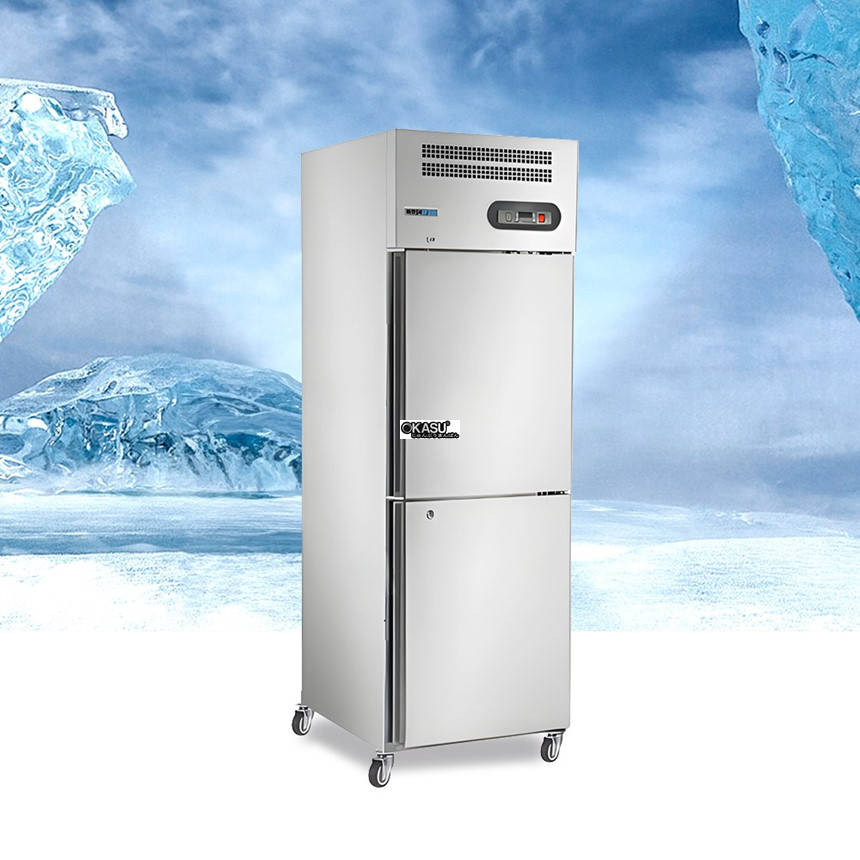 tu dong 2 canh dung primo hinh 0