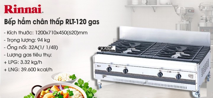 bep ham chan thap rinnai rlt-120 dung gas hinh 0