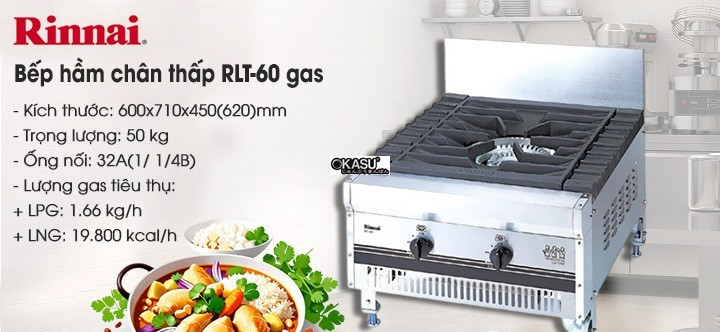 bep ham chan thap rinnai rlt-60 dung gas hinh 0