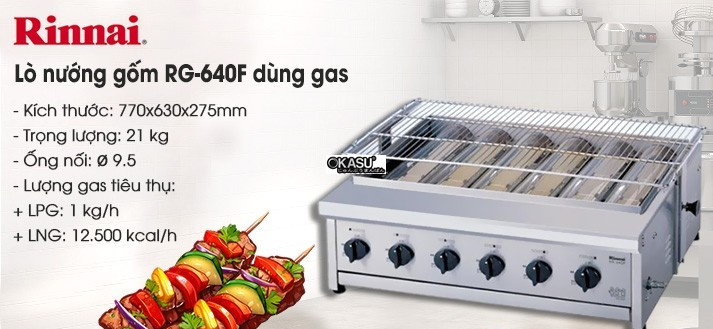 lo nuong gom rinnai rg-640f dung gas hinh 0