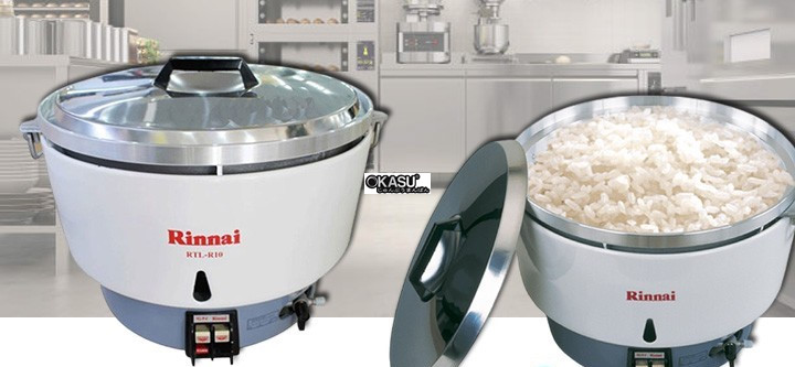 noi nau com dung gas rinnai rtl-r10 10l hinh 0