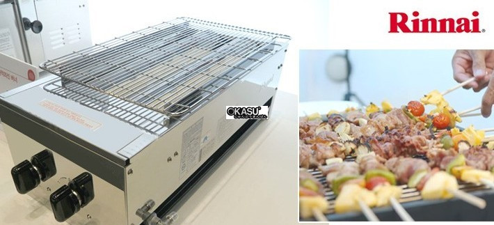 lo nuong rinnai r-92wsv dung gas hinh 1