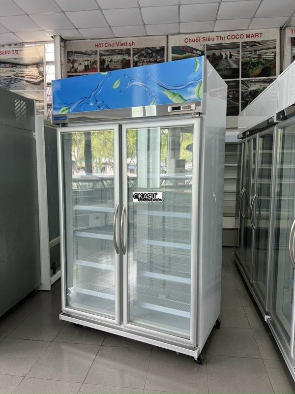 tu dong 2 canh trung bay carrier 2dgb-fz hinh 0