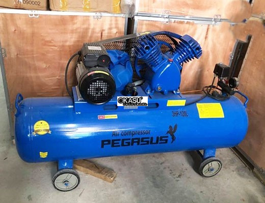 may nen khi cong nghiep piston pegasus tm-v-0.25/12.5-120l hinh 0