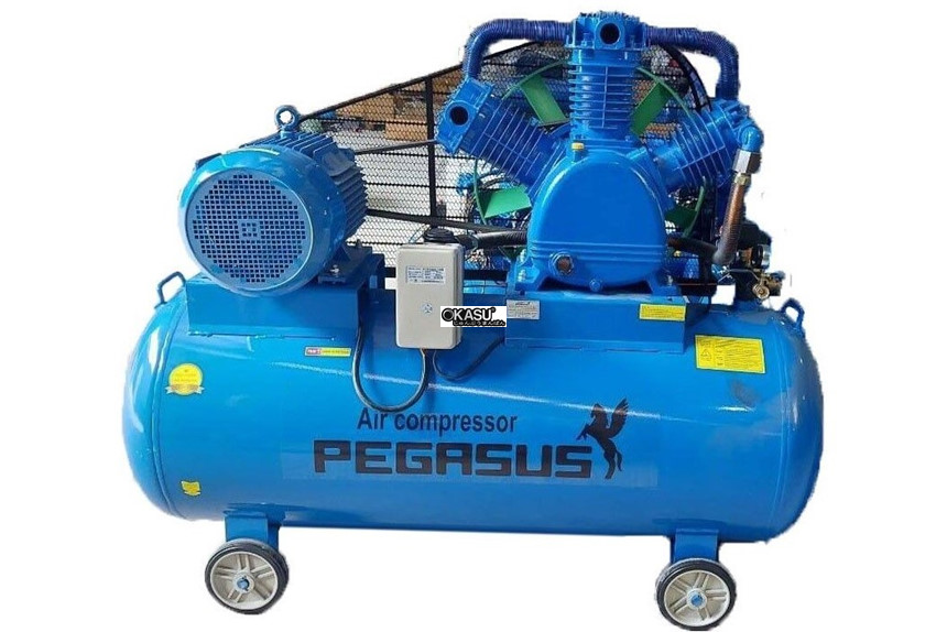 may nen khi piston day dai pegasus tm-w-2.0/12.5-500l hinh 1