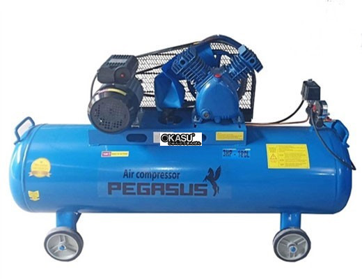 may nen khi pegasus tm-v-0.25/12.5-180l hinh 0