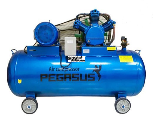 may nen khi piston day dai pegasus tm-w-2.0/12.5-500l hinh 0