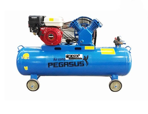 may nen khi piston dau no chay xang pegasus tm-v-0.25/8-100l hinh 0