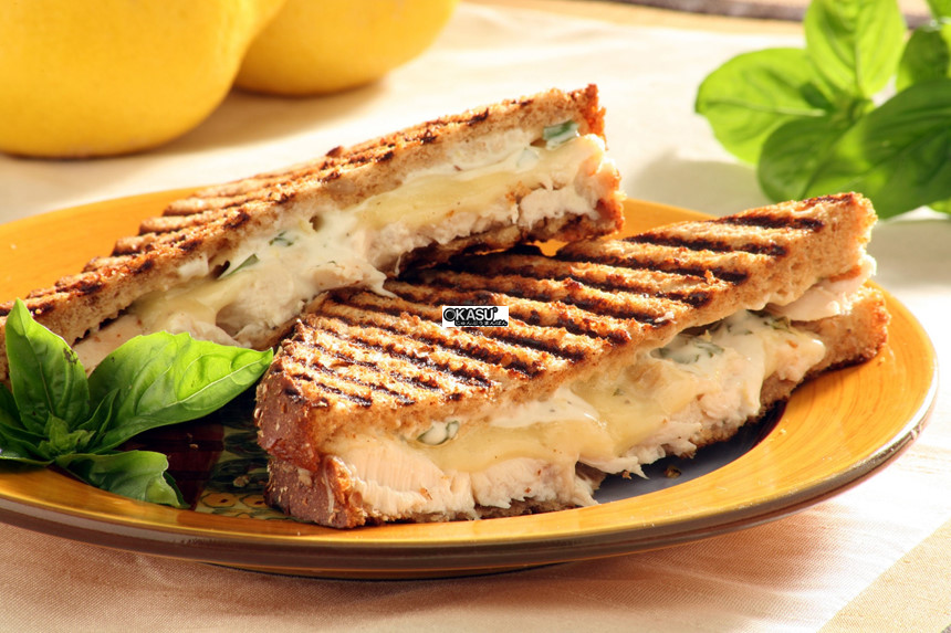 may nuong tiep xuc roller grill panini hinh 1