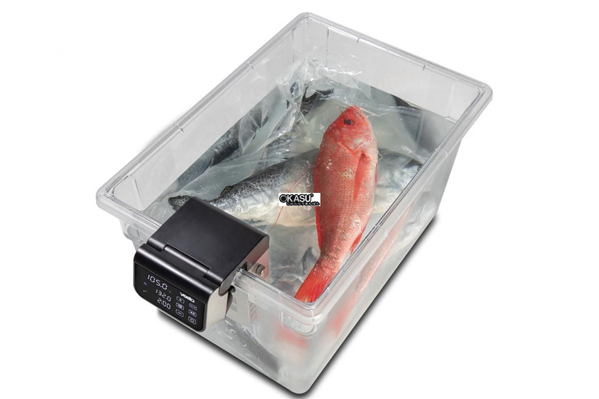 may nau cham sous vide vesta precision sv320 hinh 1