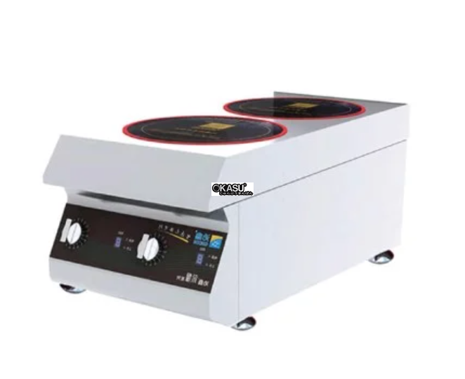 bep dien tu doi lestov lt-b300ii-b105 hinh 0