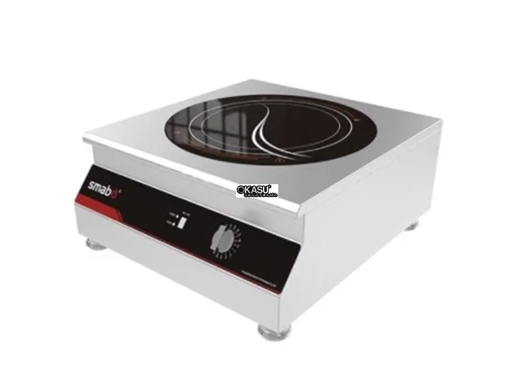 bep dien don lestov lt-tpm-e108 hinh 0