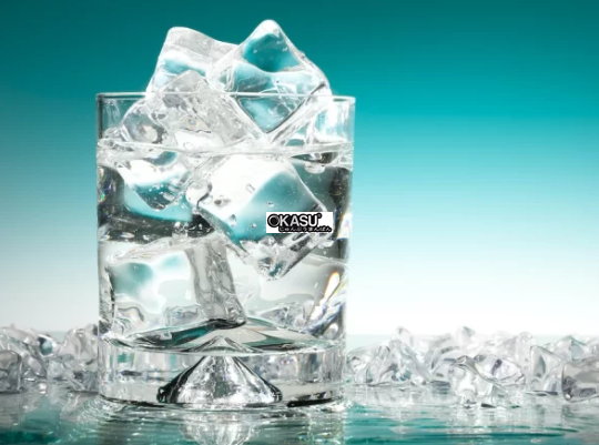 may lam da vien tinh khiet idt0450a-251 hinh 1