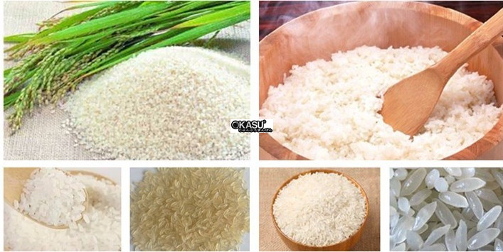 day chuyen san xuat gao 200-240kg/gio hinh 1