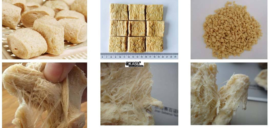 day chuyen san xuat protein dau nanh tao soi 200-1000kg/gio slg hinh 1