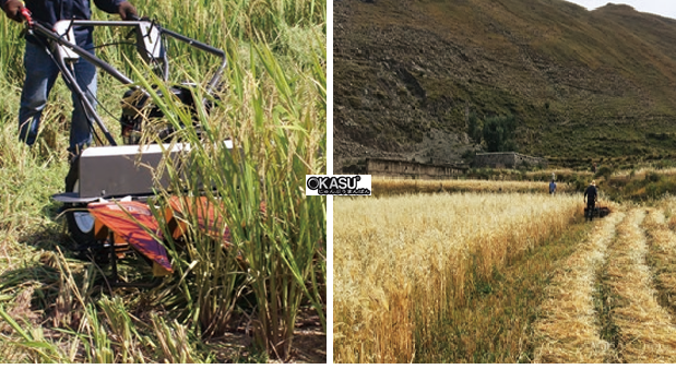 may gat lua day tay weima wmgs120 / wmgs120a hinh 1