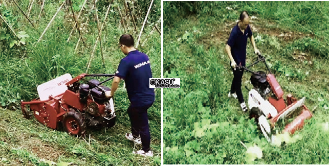 may cat co go weima wmx453 hinh 0